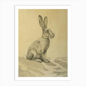 Flemish Giant Rabbit Drawing 1 Art Print