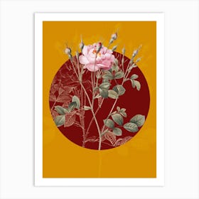 Vintage Botanical Anemone Flowered Sweetbriar Rose on Circle Red on Yellow n.0024 Art Print