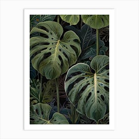 Monstera Leaves 3 Art Print