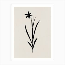 Flower - 01 Art Print