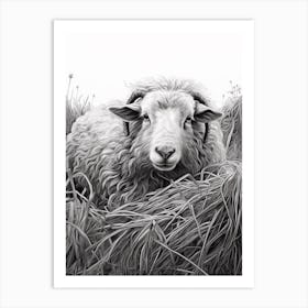 Black & White Illustration Of Highland Sheep In The Straw 1 Art Print