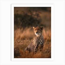 Cheetah Art Print