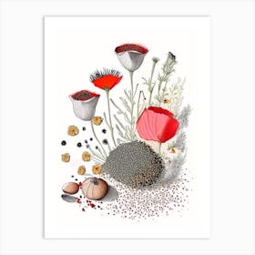 Poppy Seeds Spices And Herbs Pencil Illustration 1 Art Print