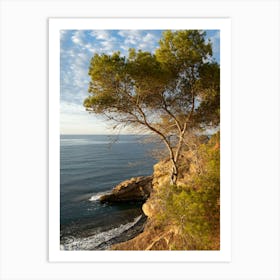 Pine tree, cliffs and the Mediterranean Sea Art Print