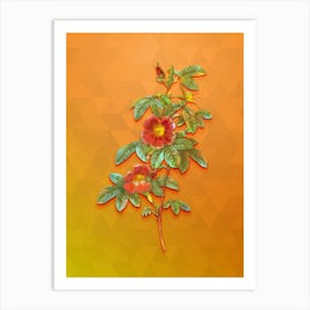 Vintage Single May Rose Botanical Art on Tangelo n.0683 Art Print