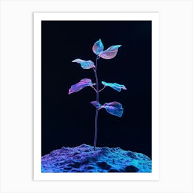 Plant Growing On A Rock Art Print