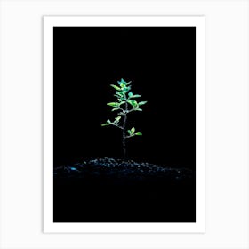 Tree Growing On A Black Background 3 Art Print