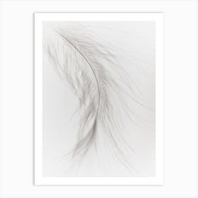 White Feather 3 Art Print