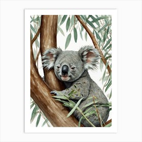 Koala Art Print