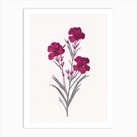 Sweet William Floral Minimal Line Drawing 3 Flower Art Print