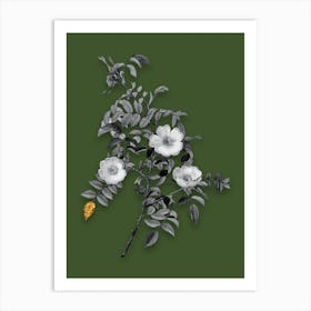 Vintage Reddish Rosebush Black and White Gold Leaf Floral Art on Olive Green n.0423 Art Print