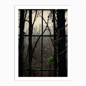 Window In The Forest Art Print