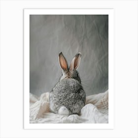 Rabbit Sitting On A Blanket Art Print