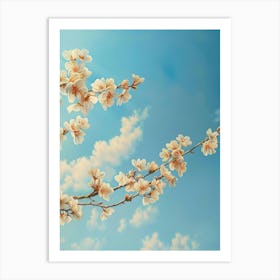 Cherry Blossoms On A Branch Art Print