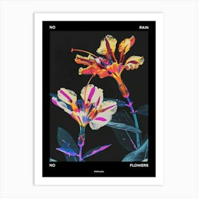 No Rain No Flowers Poster Portulaca 3 Art Print