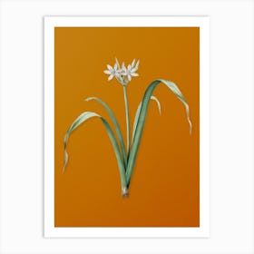Vintage Small Flowered Pancratium Botanical on Sunset Orange n.0354 Art Print