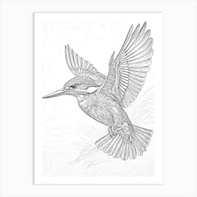 Kingfisher Pencil Art Print