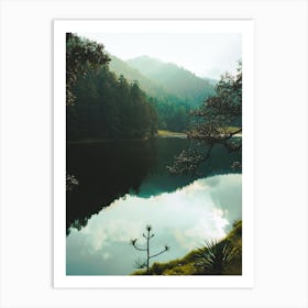 Lake In The Forest Art Print