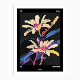 No Rain No Flowers Poster Cineraria 2 Art Print