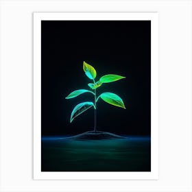 Green Plant On A Black Background 1 Art Print