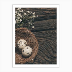 Nest With Eggs And Flowers Art Print