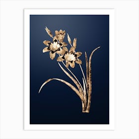 Gold Botanical Ixia Tricolore on Midnight Navy Art Print