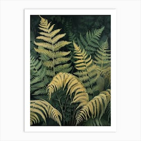 Hares Foot Fern Painting 4 Art Print