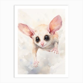 Light Watercolor Painting Of A Sugar Glider 4 Art Print
