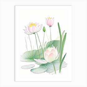 Lotus Flowers In Garden Pencil Illustration 3 Art Print