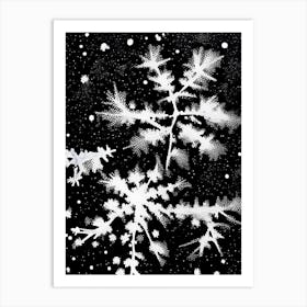 Stellar Dendrites, Snowflakes, Black & White 1 Art Print