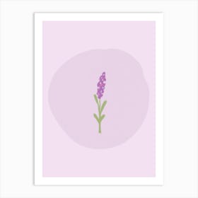 Lavender Flower Art Print