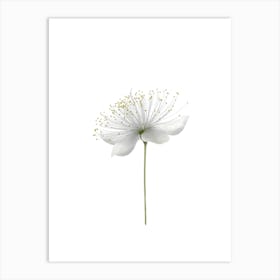 White Flower 1 Art Print