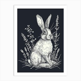 Harlequin Rabbit Minimalist Illustration 3 Art Print