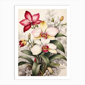 Orchids 8 Art Print