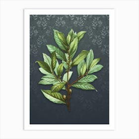 Vintage Bay Laurel Botanical on Slate Gray Pattern n.0185 Art Print