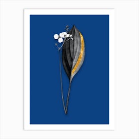 Vintage Bulltongue Arrowhead Black and White Gold Leaf Floral Art on Midnight Blue n.0074 Art Print