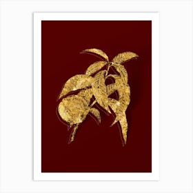 Vintage Peach Botanical in Gold on Red n.0063 Art Print