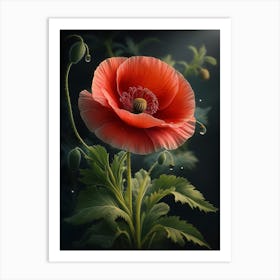 Poppy Flower Art Print