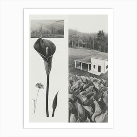 Calla Lilly Flower Photo Collage 4 Art Print