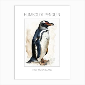 Humboldt Penguin Half Moon Island Watercolour Painting 4 Poster Art Print
