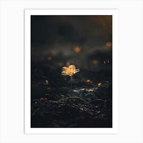 Single Flower In The Dark 63 Art Print