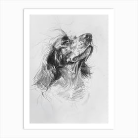 Irish Setter Dog Charcoal Line 1 Art Print