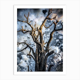 Dead Tree In The Sky Art Print