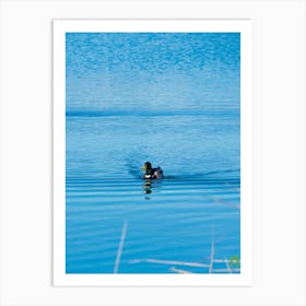 Duck In The Water 20220101 121ppub Art Print