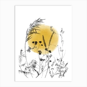 Wildflowers, Sunset in the Fields Art Print