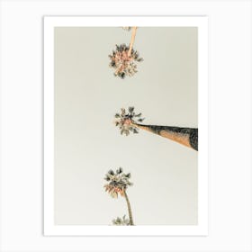 Sunny Palm Trees Art Print