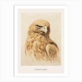 Vintage Bird Drawing Golden Eagle Poster Art Print