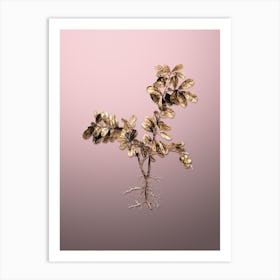 Gold Botanical Lingonberry on Rose Quartz n.2240 Art Print
