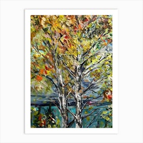 Birch Trees Art Print