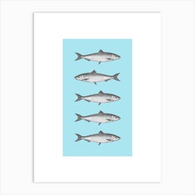 Sardine Art Print